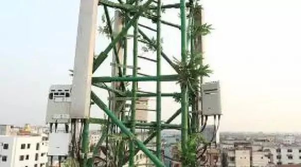 铁塔颠覆式创新：用竹子替代钢结构建通信塔